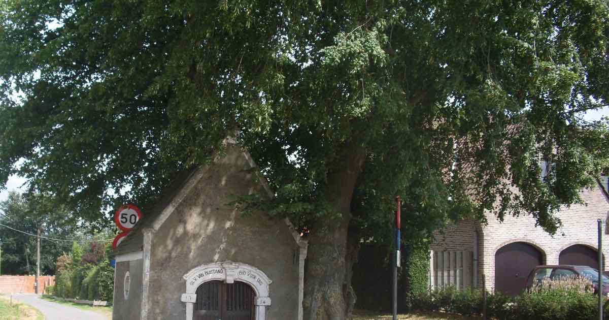 Kapel in Bavegem (Sint-Lievens-Houtem)