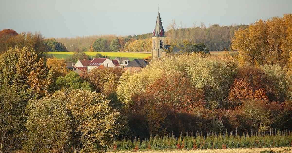 Kerktoren van Hillegem (Herzele) tussen herfstbomen